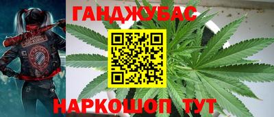 гашик Кандалакша