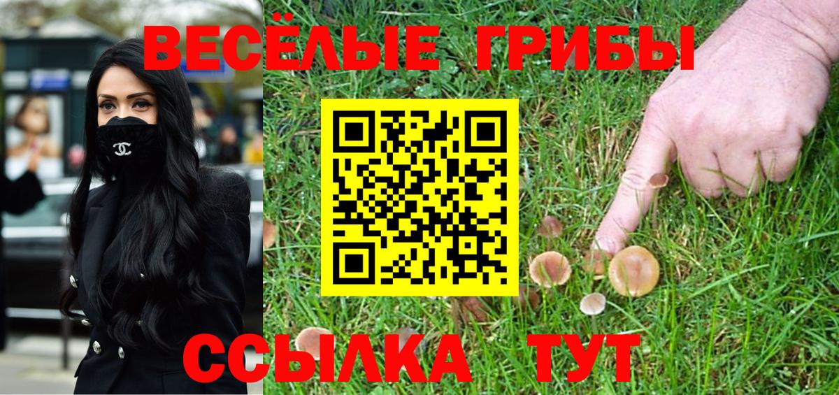 Галлюциногенные грибы Magic Shrooms  Псилоцибиновые грибы мухоморы  Коркино  Вход с VPN 