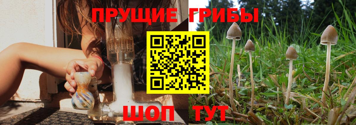 Псилоцибиновые грибы прущие грибы Коркино